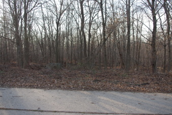 Enlarge photo 81