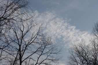 Enlarge photo 82