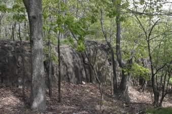 Enlarge photo 3