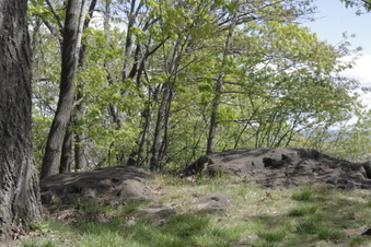 Enlarge photo 4