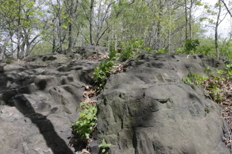 Enlarge photo 5