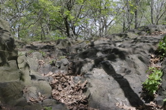 Enlarge photo 6
