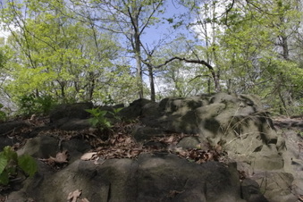 Enlarge photo 7