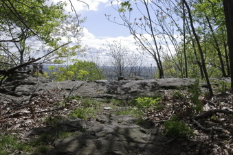 Enlarge photo 8