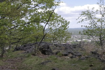 Enlarge photo 9