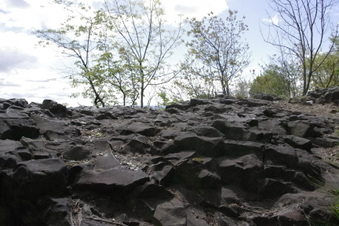Enlarge photo 12