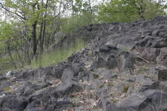 Enlarge photo 15