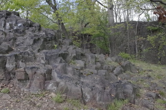 Enlarge photo 16