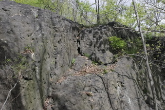 Enlarge photo 17