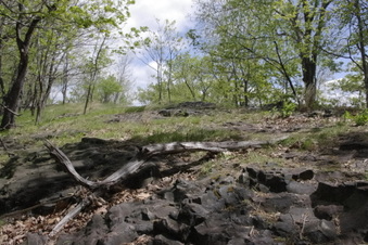 Enlarge photo 19
