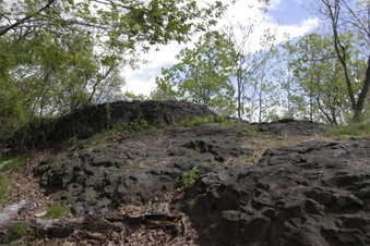 Enlarge photo 20