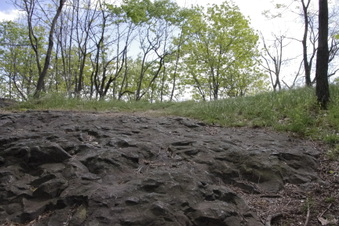 Enlarge photo 21
