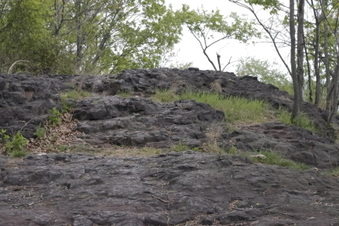 Enlarge photo 24