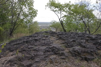 Enlarge photo 27