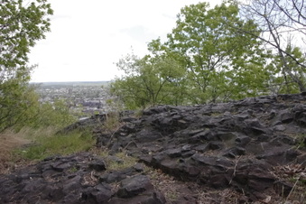 Enlarge photo 29