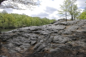 Enlarge photo 30