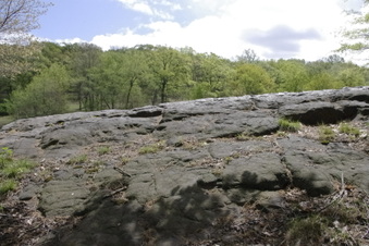 Enlarge photo 31