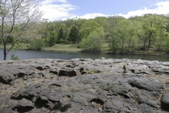 Enlarge photo 32