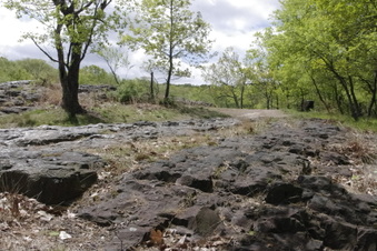 Enlarge photo 33