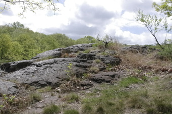 Enlarge photo 34
