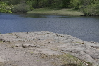Enlarge photo 36