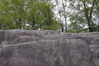 Enlarge photo 39