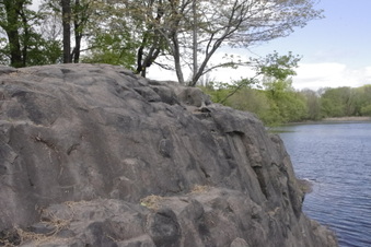 Enlarge photo 40