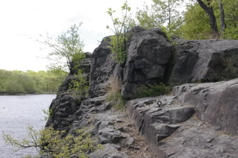 Enlarge photo 41