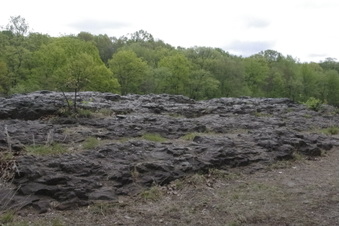 Enlarge photo 45