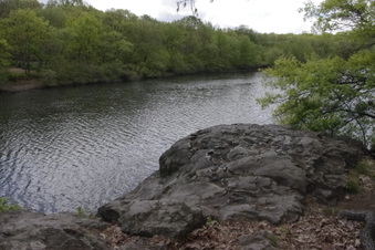Enlarge photo 47