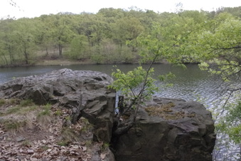 Enlarge photo 48