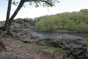 Enlarge photo 49