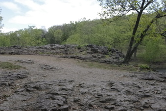 Enlarge photo 51