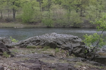 Enlarge photo 53