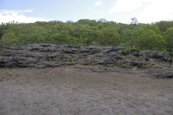 Enlarge photo 55
