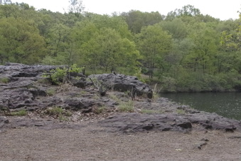 Enlarge photo 56