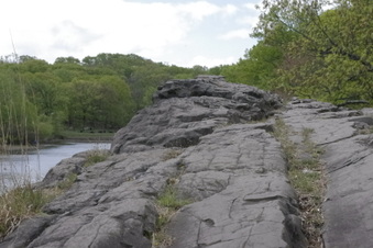 Enlarge photo 62
