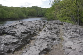 Enlarge photo 63