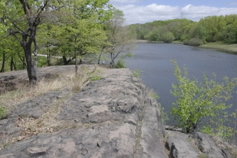 Enlarge photo 64