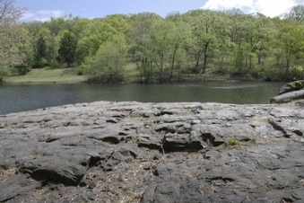Enlarge photo 65