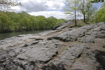 Enlarge photo 66