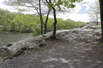 Enlarge photo 67