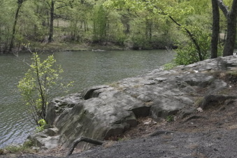 Enlarge photo 68