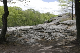 Enlarge photo 69