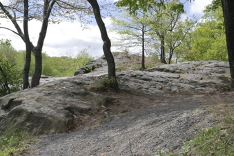 Enlarge photo 70
