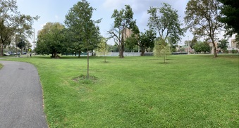 Enlarge photo 31