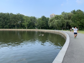 Enlarge photo 13