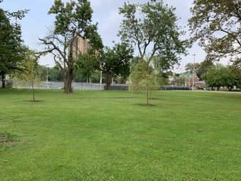 Enlarge photo 35
