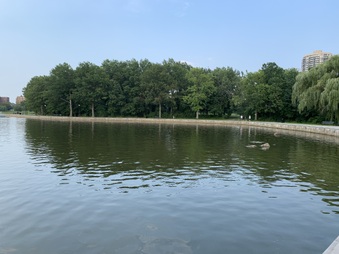 Enlarge photo 16
