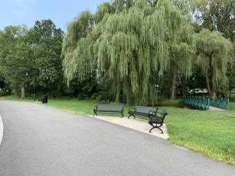 Enlarge photo 11